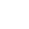 PIR Laps Logo